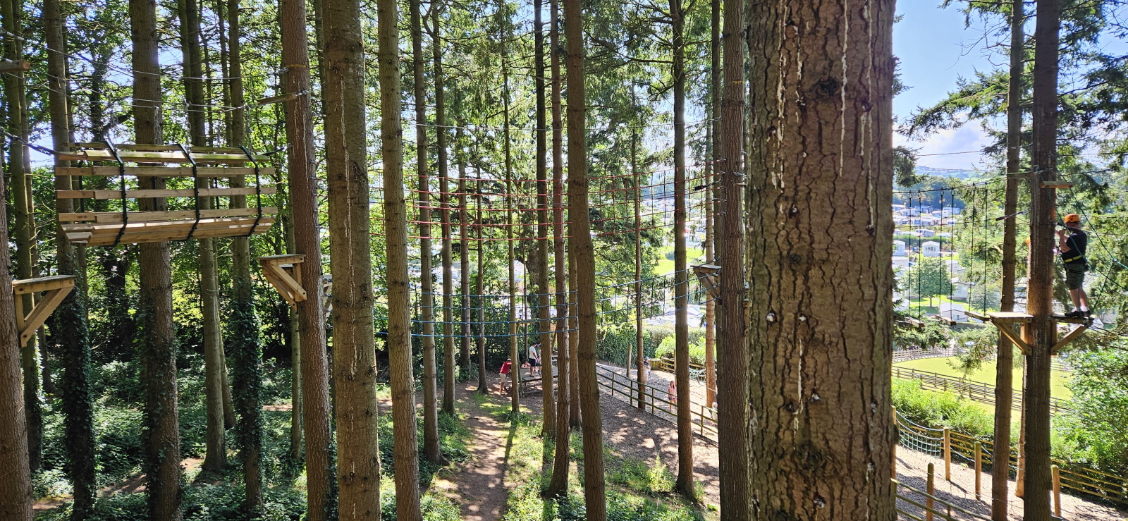 High Ropes at Cofton